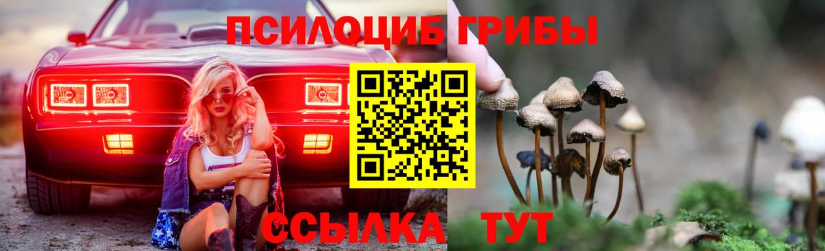 Псилоцибиновые грибы Psilocybe Красный Сулин